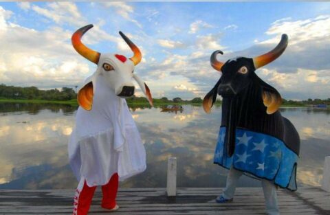 Live “Encontro dos Bumbás: Festa dos Visitantes”, da Samel, traz a magia do Festival de Parintins no dia 24 de junho