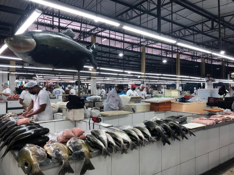 Com vazante do Rio Negro, feirantes retornam ao prédio da Manaus Moderna