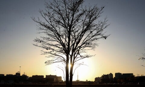 Painel de debates científicos na COP30, em Belém, abordou os riscos do aumento prolongado da temperatura global - Foto: Valter Campanato/Agência Brasil