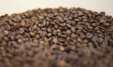 Presidente dos Estados Unidos, Donald Trump, durante entrevista à emissora Fox News, onde anunciou a redução das tarifas de importação sobre o café - Foto: Marcello Casal Jr / Agência Brasil