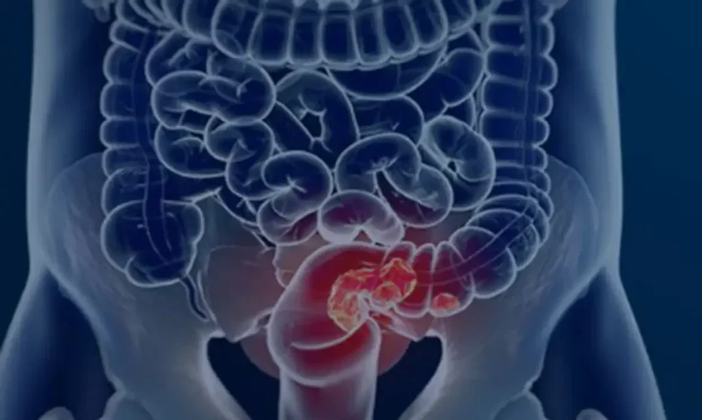 Foto: Câmara Municipal de Afonso Claudio/Divulgação