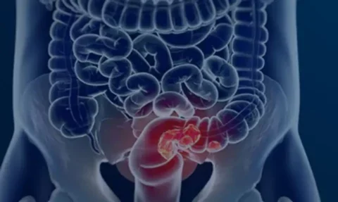 Foto: Câmara Municipal de Afonso Claudio/Divulgação