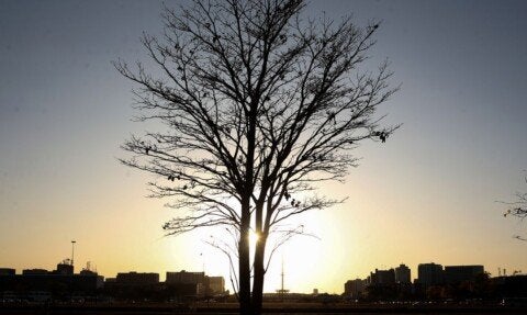 Painel de debates científicos na COP30, em Belém, abordou os riscos do aumento prolongado da temperatura global - Foto: Valter Campanato/Agência Brasil