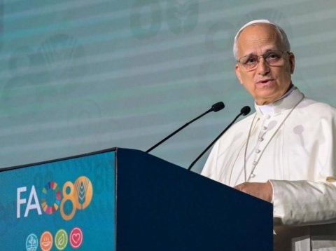 Papa Leão XIV aprova decreto que redefine o papel de Maria nas doutrinas da Igreja Católica - Foto: Instagram @pontifex`