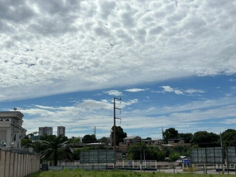 Foto: Haliandro Furtado / Jovem Pan News Manaus