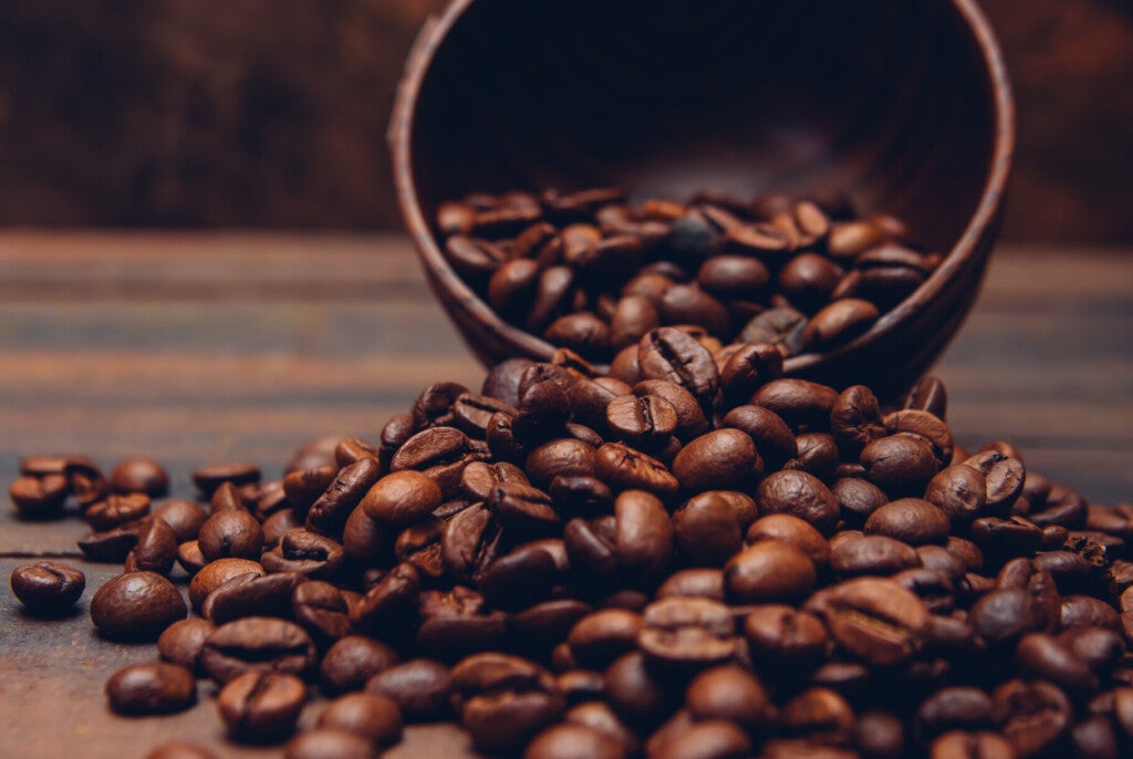 Foto: 8photo / Freepik