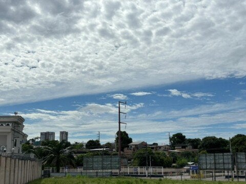 Foto: Haliandro Furtado / Jovem Pan News Manaus