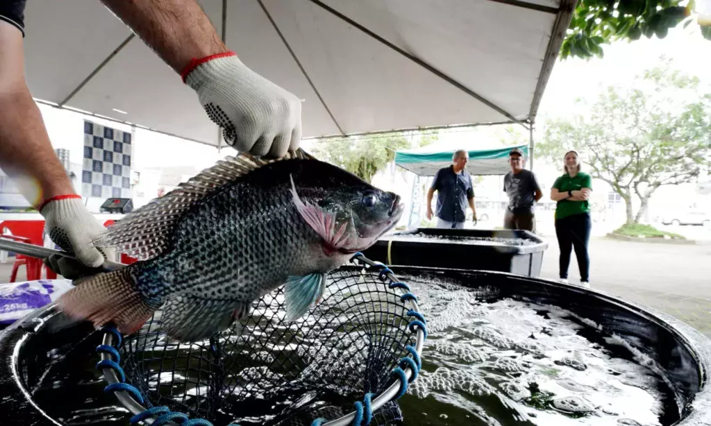 Foto: Secom/Divulgação/ND