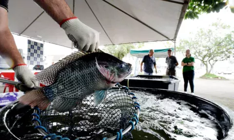 Foto: Secom/Divulgação/ND