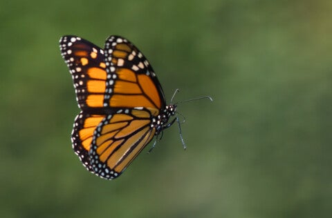 Foto: wirestock/ Freepik