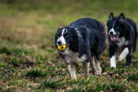 Foto: National Geographic