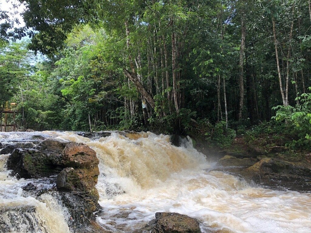 Fotos: Sesc Amazonas | Reprodução/Internet