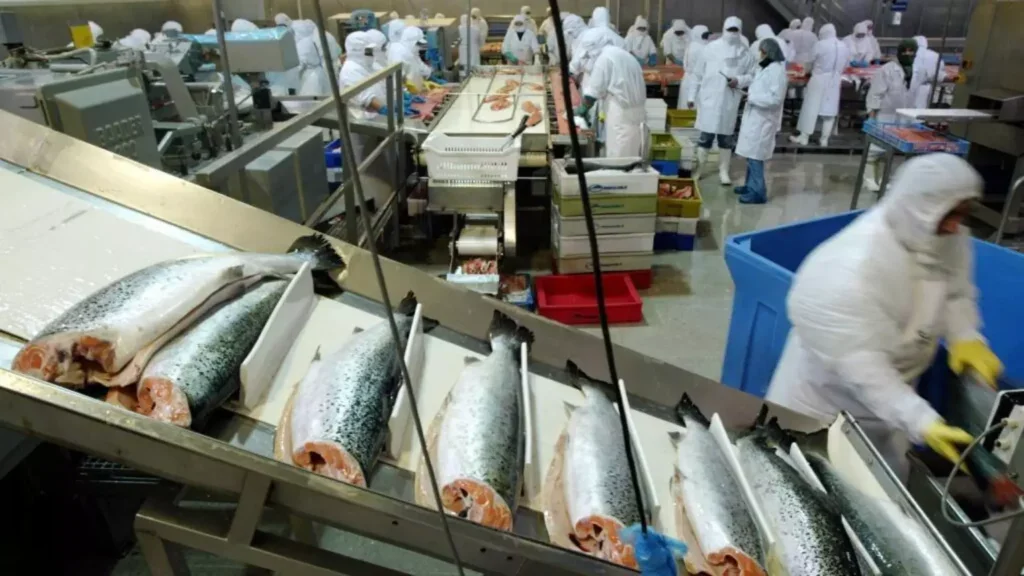 Foto: REUTERS/Ivan Alvarado/Files / RFI