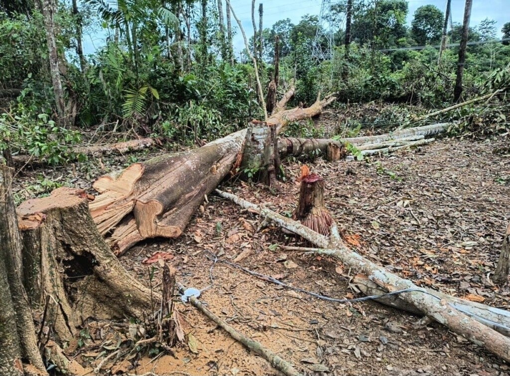 FOTOS: Divulgação/Ipaam