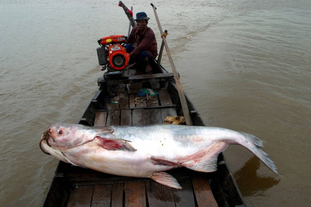 Foto: Reuters