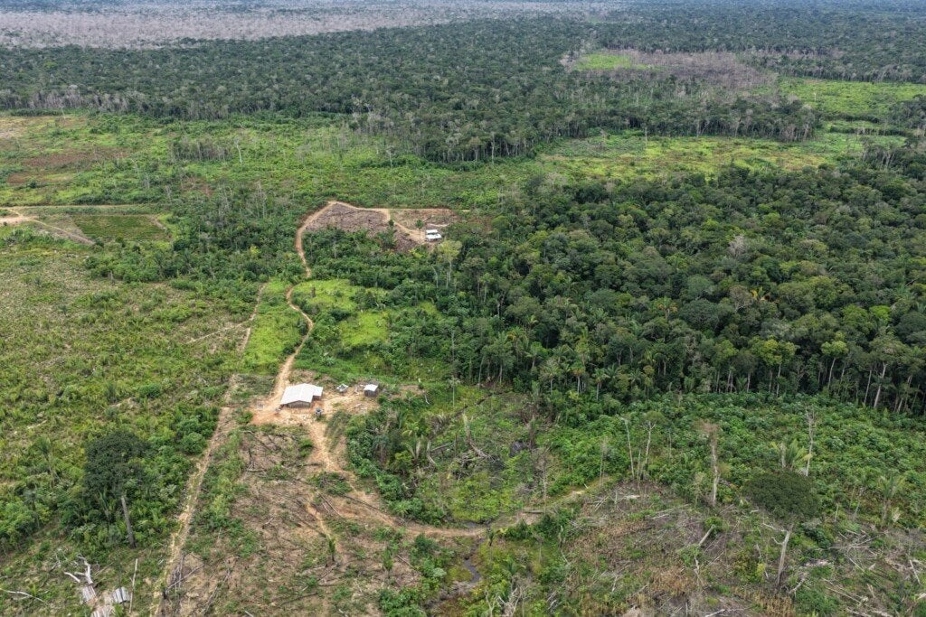 FOTOS: Divulgação/Ipaam