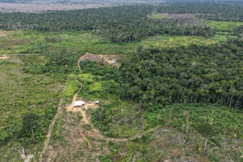 FOTOS: Divulgação/Ipaam