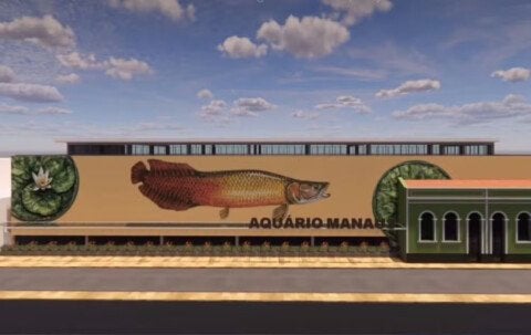 Foto: Divulgação/ Implurb