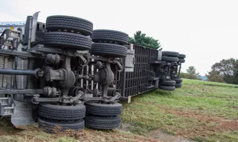 Foto: macdeedle/Pixabay