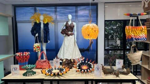 Fotos: Divulgação /Sebrae AM