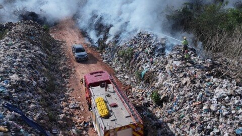 Foto: DIvilgação/ Ipaam